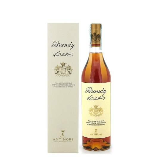 Brandy Antinori